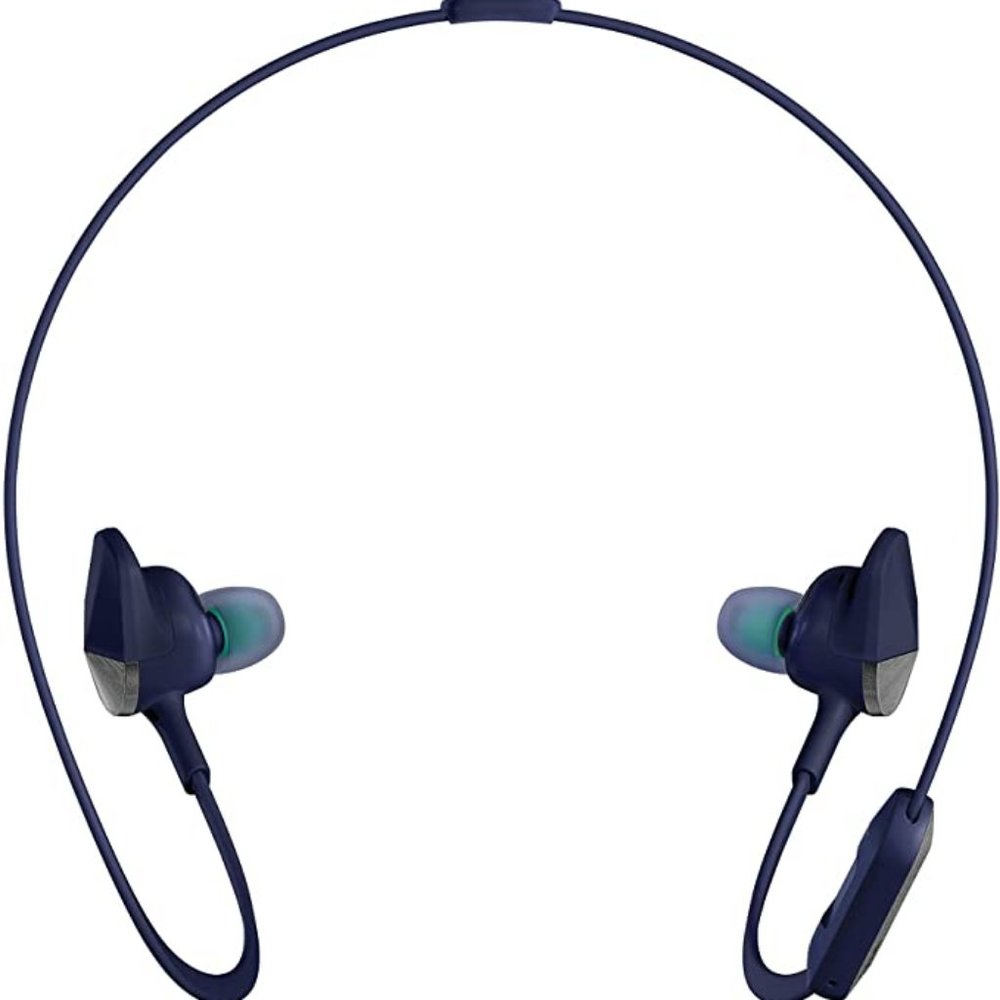 Fitbit Flyer